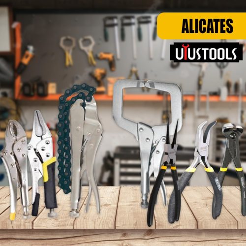 WhatsApp Image 2023-08-08 at 2.43.07 PM